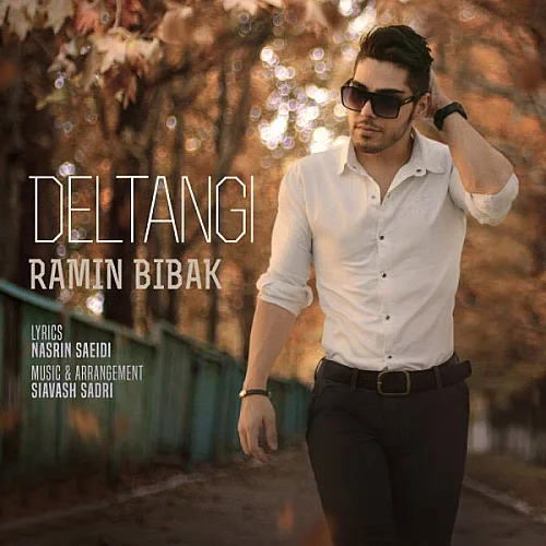 Deltangi - Ramin Bibak